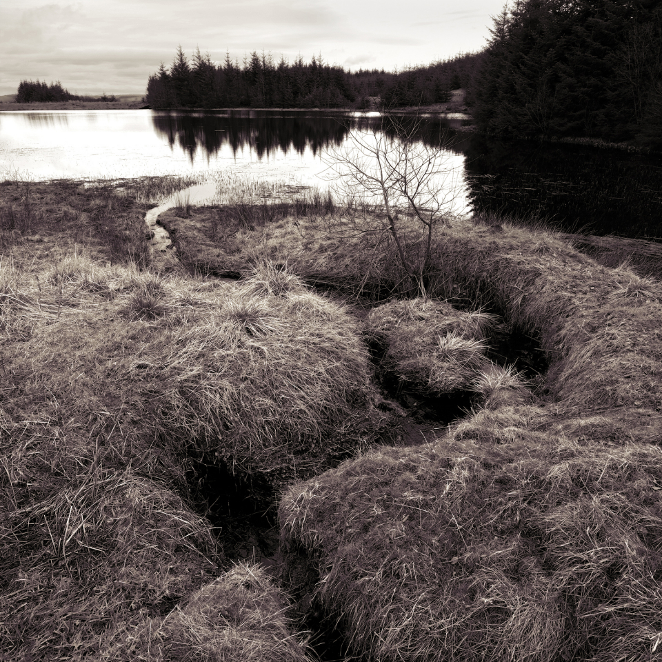 Ladymuir Reservoir