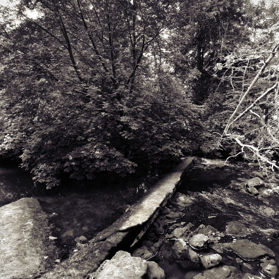51232018121_8aff34a018_o