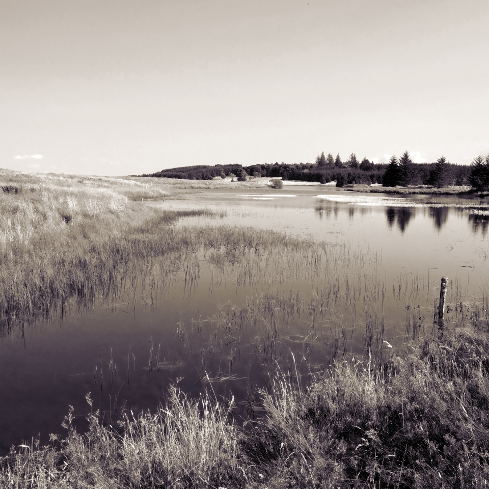 Gryfe Reservoir No. 1