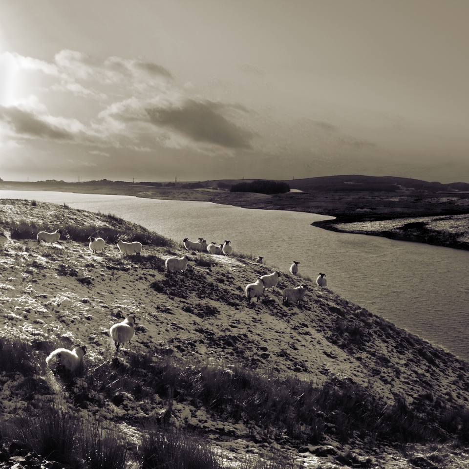 Long Loch