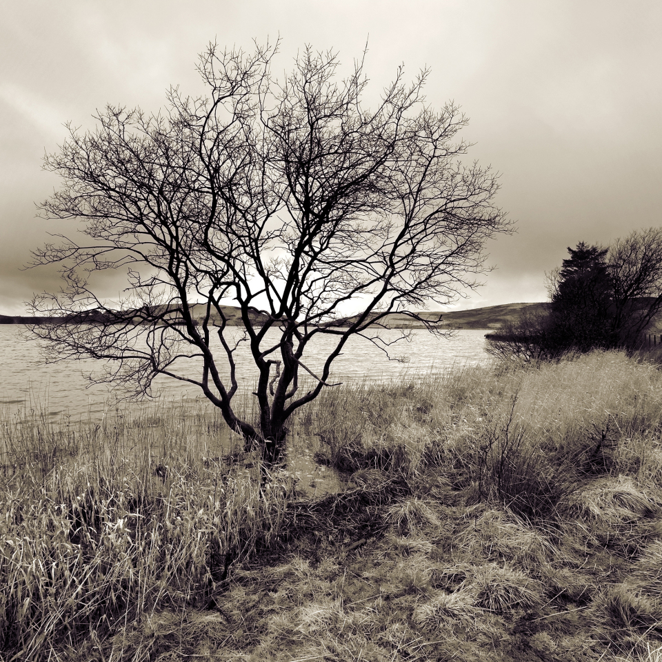 White Loch